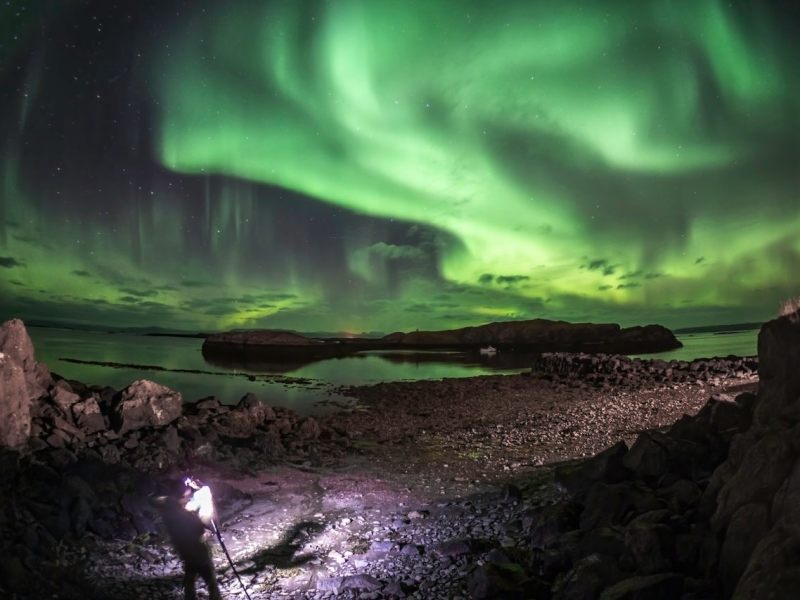 Virtual Field Trips for&nbsp;Families