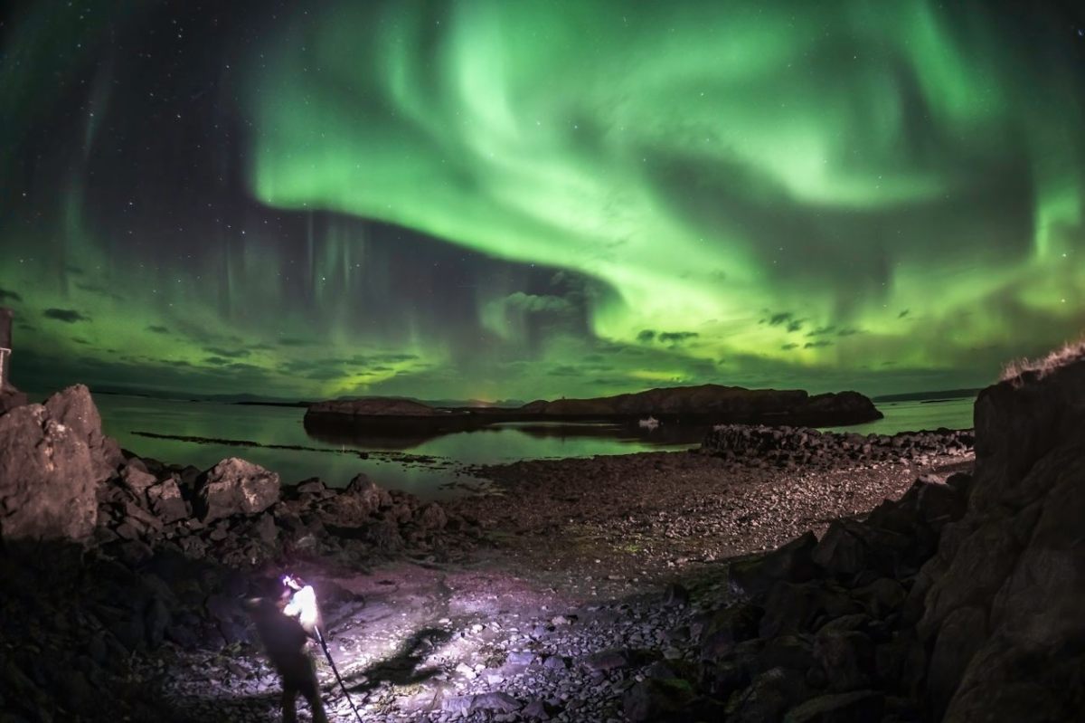 Virtual Field Trips for&nbsp;Families